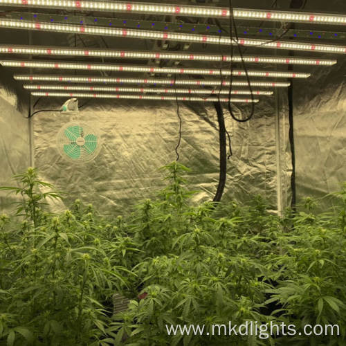 The Best Mini Led Plant Grow Lights 2021